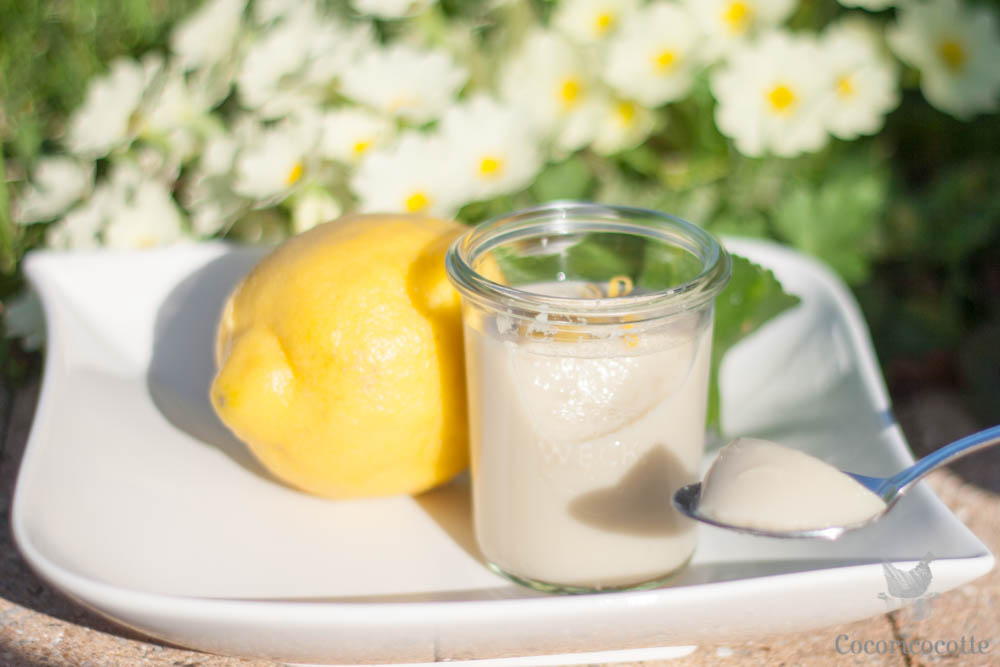 Flan végétal au citron (IG Bas – Sans lactose)